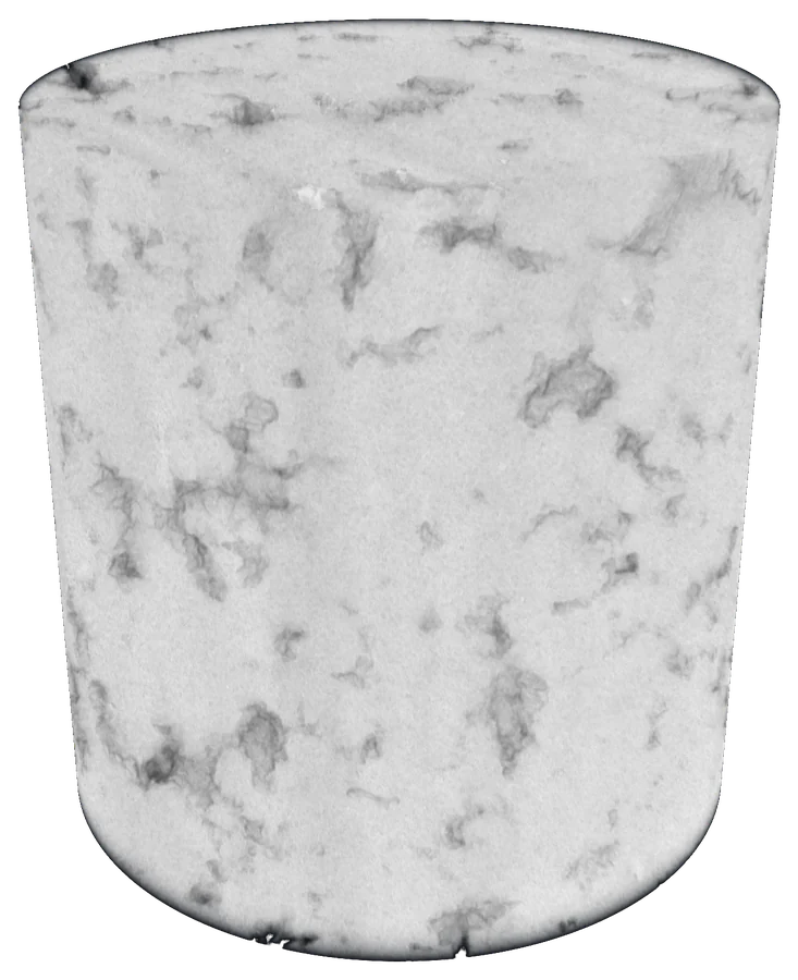 Pre-salt carbonate core plug, X-ray volume